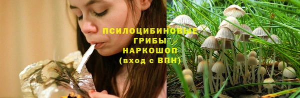 гидропоника Абаза